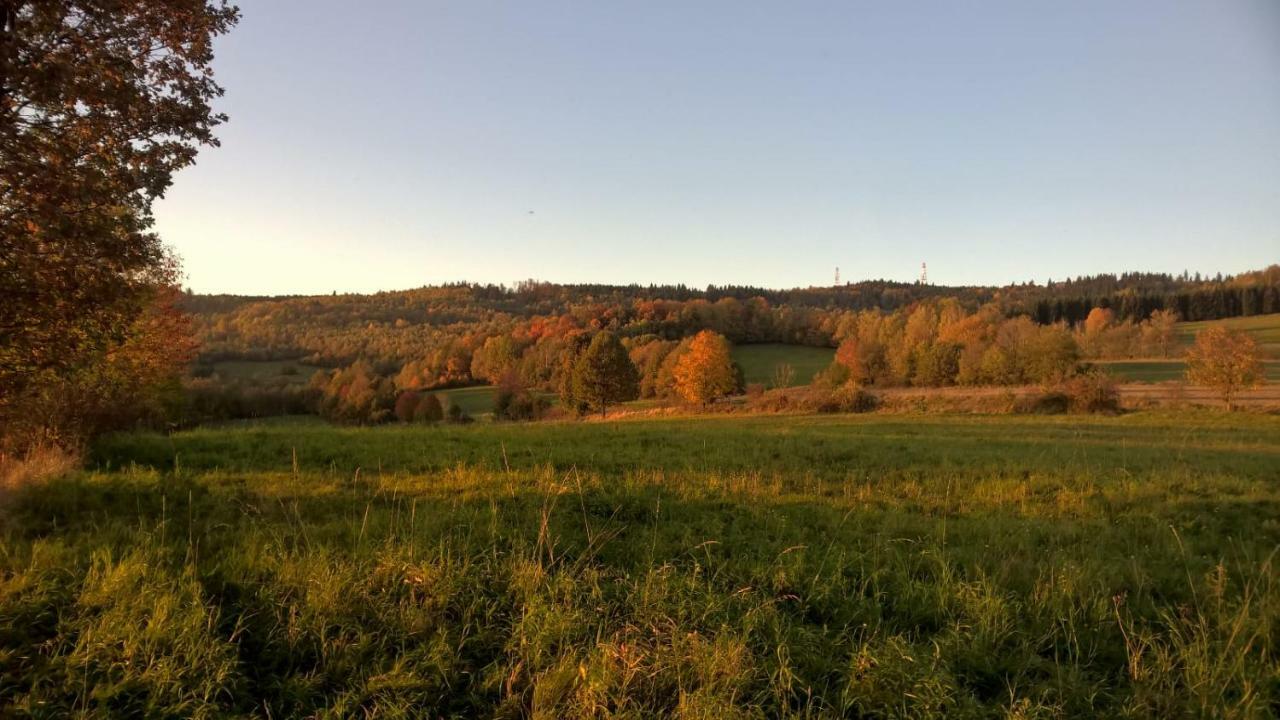 Agroturystyka Ulima Dziwiszow エクステリア 写真