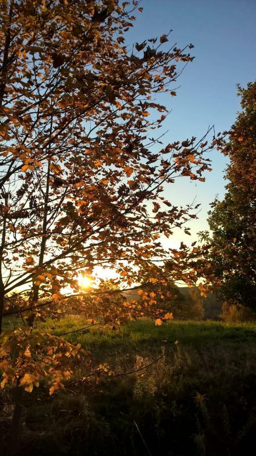 Agroturystyka Ulima Dziwiszow エクステリア 写真